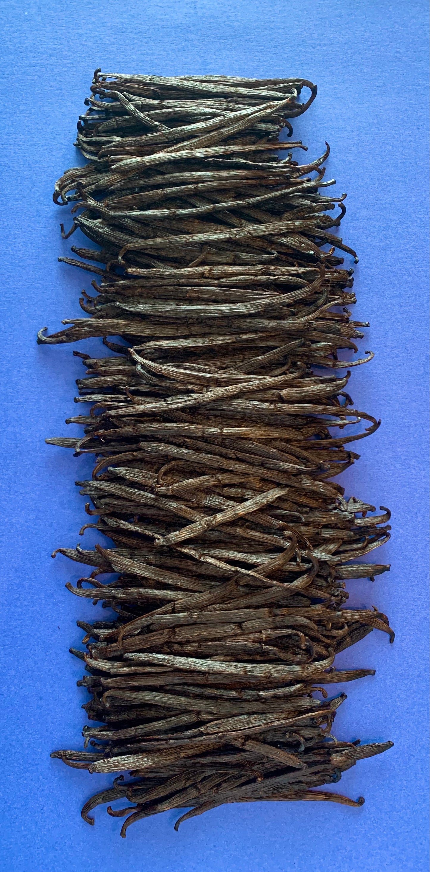 Vanilla Beans (Bulk Order)